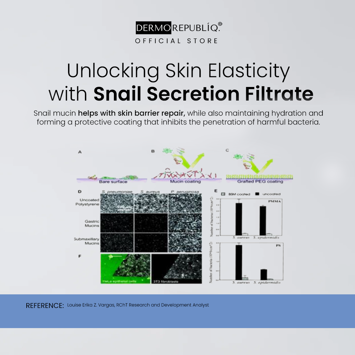 Dermorepubliq Snail Hydrating Ampoule