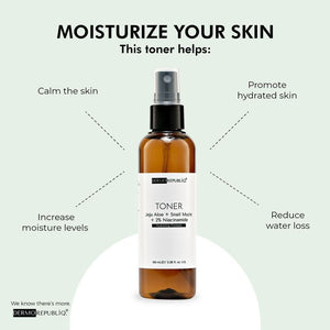 Dermorepubliq Jeju Aloe + Snail Mucin + 2% Niacinamide Hydrating Toner - 100 mL